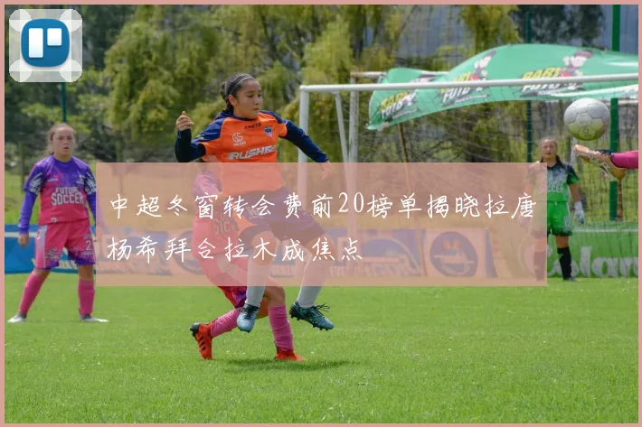 中超冬窗转会费前20榜单揭晓拉唐杨希拜合拉木成焦点