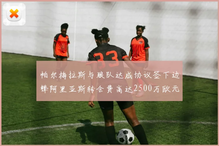 帕尔梅拉斯与狼队达成协议签下边锋阿里亚斯转会费高达2500万欧元