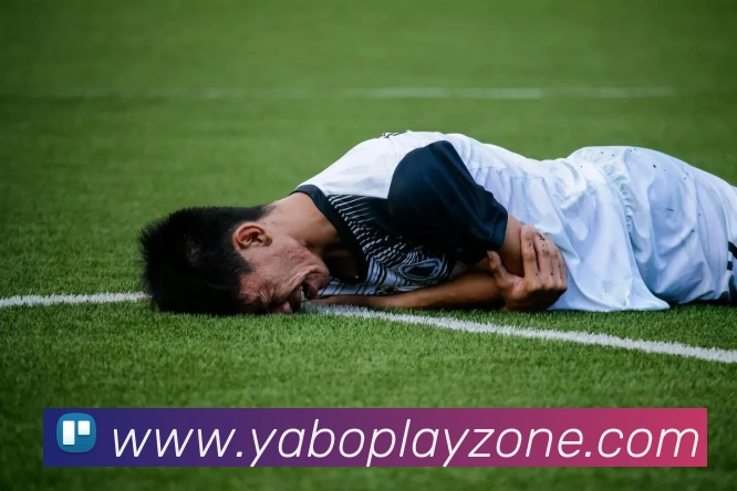 多媒体互动体验